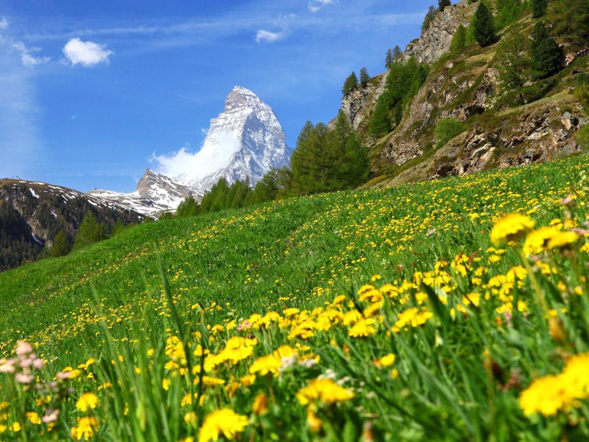 Apartment Lauberhaus Zermatt Bagian luar foto
