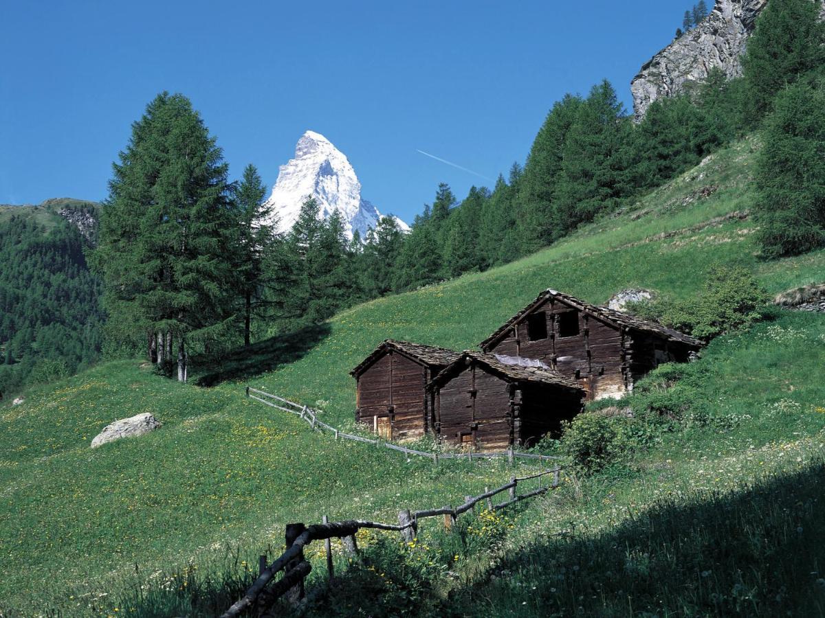 Apartment Lauberhaus Zermatt Bagian luar foto